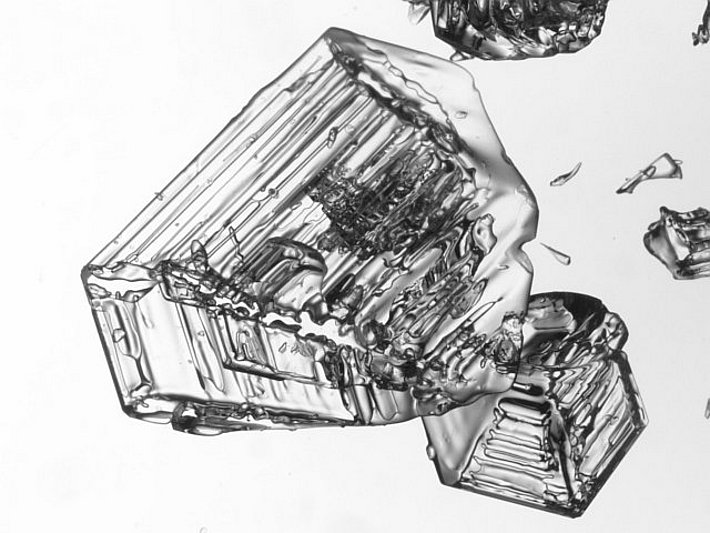 Becherform (Grösse des Bildausschnitts 6.5 x 4.9 mm)