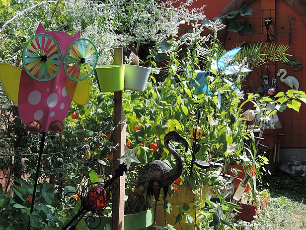 Beispiel für einen Blumengarten und eine farbige Falle, mit der Bestäuber gefangen wurden. Foto: David Frey, WSL