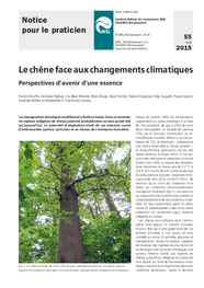 Le chêne face aux changements climatiques. Perspectives d'avenir d'une essence