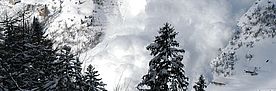 Blick durch einige Baumgipfel auf die gegenüberliegende Talseite im Vallée de la Sionne.  Eine grosse Lawine stürzt den schneebedeckten Hang des Lawinenversuchsgeländes des SLF hinunter. Die aufsteigende Staubwolke umhüllt auch weiter entfernt liegende Bäume und Gebäude.