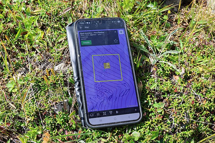 Smartphone liegt im Gras