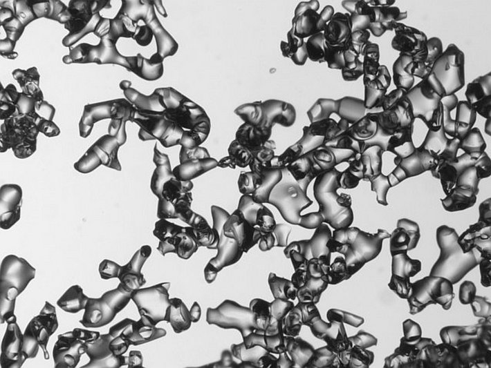 Kleine runde Formen (Grösse des Bildausschnitts: 4.3 x 3.2 mm)