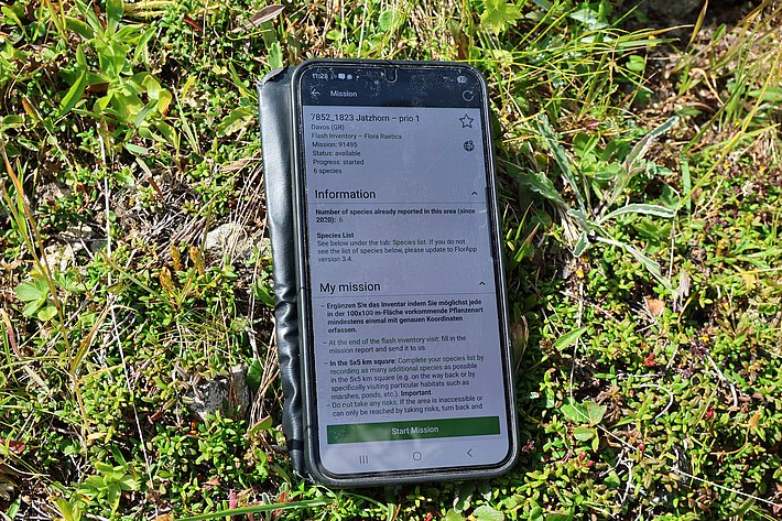 Smartphone liegt im Gras, auf dem Bildschirm ist Text zu sehen