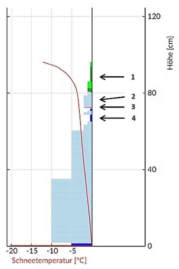 Abb 9: Schneeprofil, berechnet mit dem Schneedeckensimultionsmodell Snowpack für die Schneestation Bosco Gurin (2310 m, TI) für den Montag, 13.02. 06 Uhr. Vertikal ist die Schneehöhe dargestellt, horizontal die Temperatur und die Härte des Schnees, in Farben die Kornformen. 1: Grün dargestellt ist der jüngste Neuschnee vom Freitag, 10.02., der bereits etwas verfestigt ist. 2: In der hellblauen Schicht werden Mischformen von abgebauten runden, und aufgebauten kantigen Kristallen dargestellt. Dabei handelt es sich um den Triebschnee ab Montag, 06.02. 3: Violett ist ein Oberflächenreif dargestellt 4: Dunkelblau sind stark aufgebaute, kantige Kristalle und Becherkristalle dargestellt, die zusammen mit dem Oberflächenreif bei 3 die Schwachschicht bildeten. Darunter besteht die Schneedecke aus Mischformen von abgebauten runden, und aufgebauten kantigen Kristallen, in der Härte nach unten deutlich zunehmend. Beobachtete Wummgeräusche entstanden durch den Bruch der violetten und dunkelblauen Schichten im Bereich von 3 und 4.