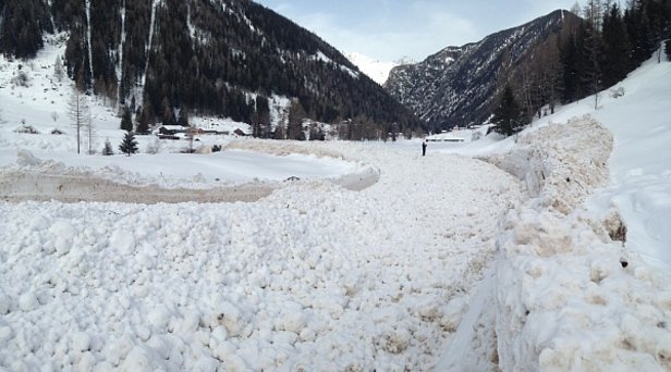 Abb. 23: Der Arm einer grossen Lawine, die am Croix des Prélayes (2365 m) im Trientgebiet (VS) am Montag, 17.02. spontan abging. Sie riss im trockenen Schnee an, stiess im Bereich der Waldgrenze auf nassen Schnee und riss diesen mit. Die gelb-braune Verfärbung des Schnees ist Saharastaub (Foto: J.-L. Lugon).