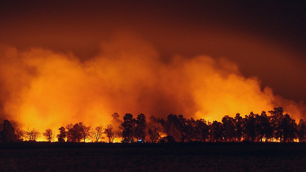 Wald bei Nacht, rot-orange Flammen leuchten und strahlen den Rauch am Himmel an.