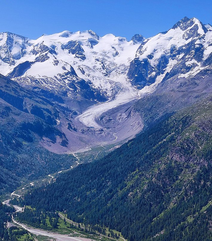The Morteratsch Glacier winds down from snow-covered mountains into a forested valley under a clear blue sky.