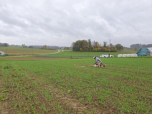 Sampling in Dägerlen, ZH. Photo: Verena Koppe (WSL)