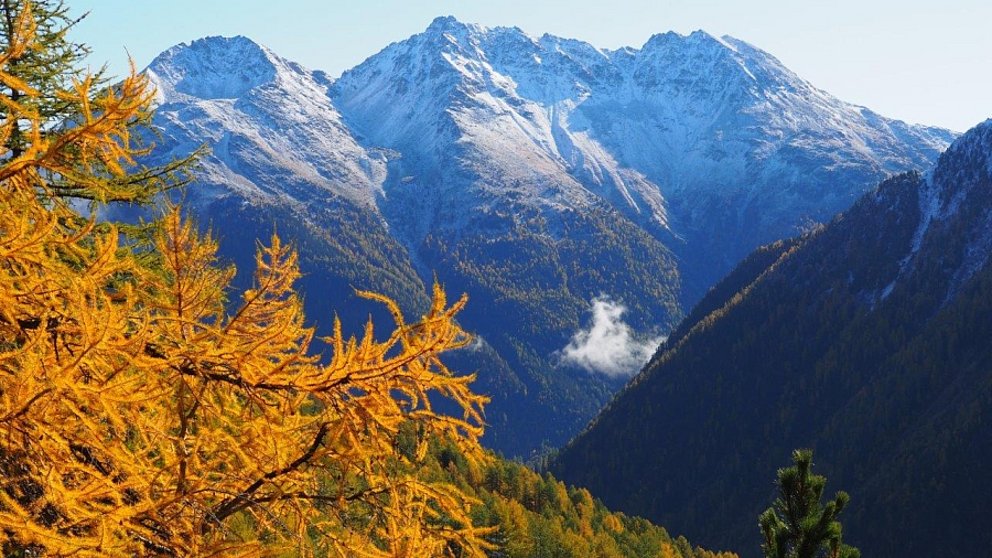 Schneefall im Hochgebirge und sechs Lawinenbulletins