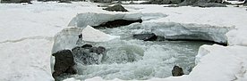 Gebirgsbach während der Schneeschmelze. Der Talboden ist noch von einer dicken Schneeschicht bedeckt. In der Mitte des Bildes hat der reissende, graugefärbte Bach bereits ein Loch in die Schneedecke gerissen. Man sieht wie ein Schneeblock vom Wasser davongetragen wird.