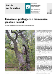Conoscere, proteggere e promuovere gli alberi habitat