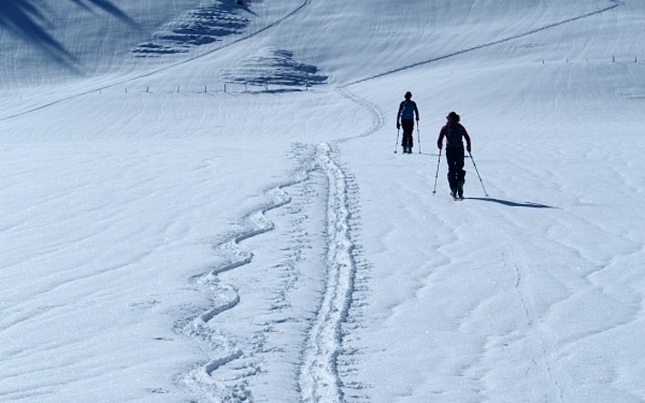 Der lockere Neuschnee wurde am vergangenen Wochenende von Wind und Sonne bearbeitet. Dadurch ergab sich dieses lustige Spurenbild, bei dem die Spuren vom Vortag höher waren als der umliegende Schnee (Wistätthore, 2362 m, Saanen, BE; Foto: U. Grundisch, 30.04.2017).