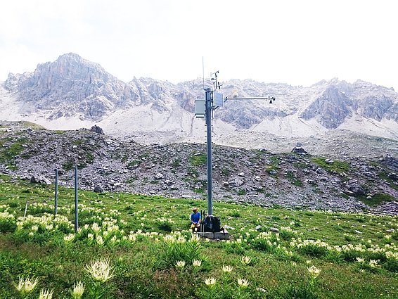 Un dipendente di SLF registra i dati sulla vegetazione in una stazione IMIS nel Bäretälli, vicino a Davos. (Foto: Christian Rixen / SLF)