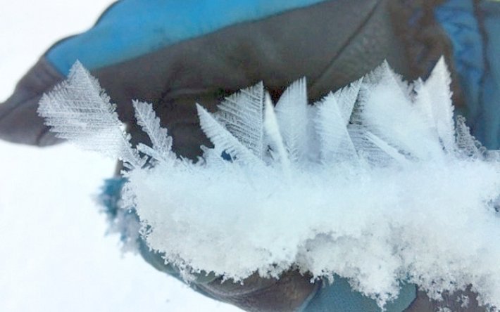 In den klaren Nächten der vergangenen Woche bildete sich an windgeschützten Stellen eindrucksvoller Oberflächenreif. Insofern dieser flächig eingeschneit wird bildet er eine gefährliche Schwachschicht (Entschligetal, Adelboden, BE; Foto: F. Baumgartner, 09.01.2017).