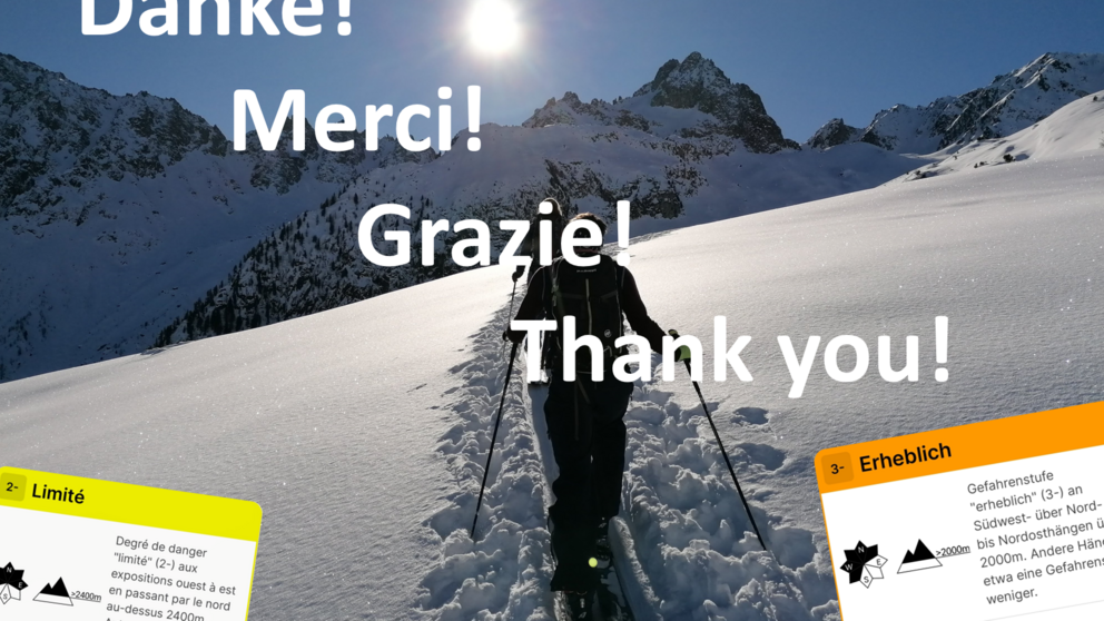 Umfrage Zwischenstufen – erste Ergebnisse