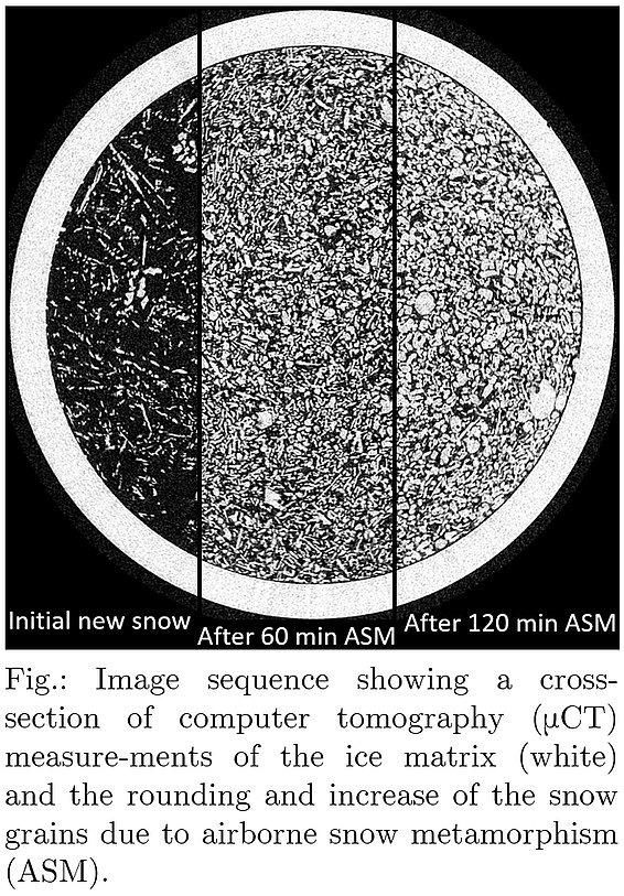 Schwarz-weisse Kreisquerschnitt, Computertomografie von Schneekörnern. Links Neuschnee, Mitte Schnee nach 60 min und rechts nach 120 min.