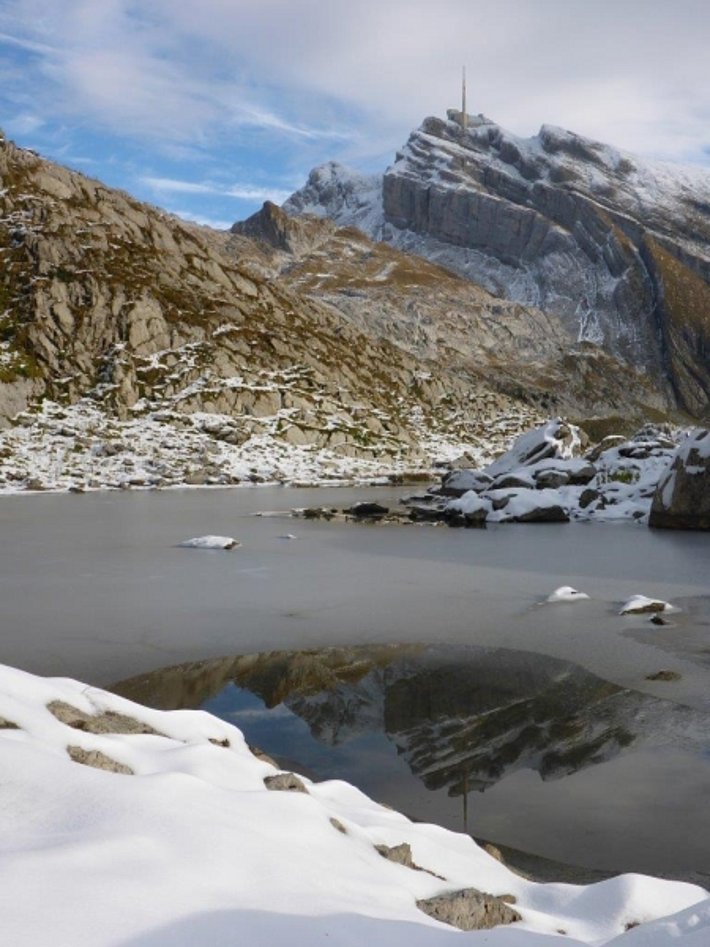 Blick von der Tierwis zum Säntis am Sonntag, 23.10. Die Schneegrenze am Südhang war am Morgen bei rund 1600 müM. 10 bis 20 cm Schnee war ab 2100 m die Regel (Foto: P. Diener).