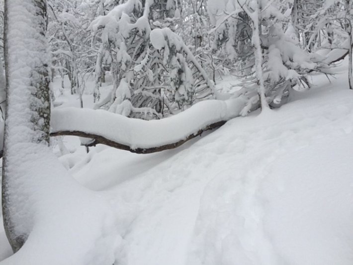 Auch der Jura bekam einigen Schnee ab und präsentierte sich auf knapp über 1000 m winterlich, wie hier beim Anstieg zum Röti (1395 m, Rüttenen, Südost; Foto: B. Müller, 15.01.2017).