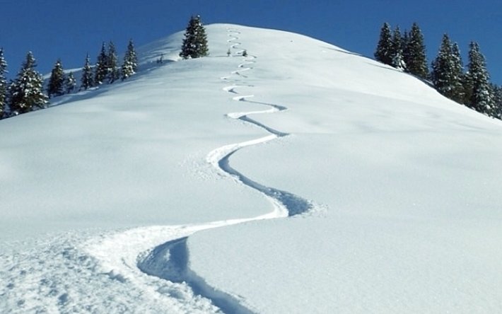 Der Neuschnee brachte auch im Glarnerland tolle Tourenbedingungen, wie diese Abfahrtsspuren vom Gross Chärpf zeigten (2793 m; Foto: SLF/M. Schaer, 07.01.2017).