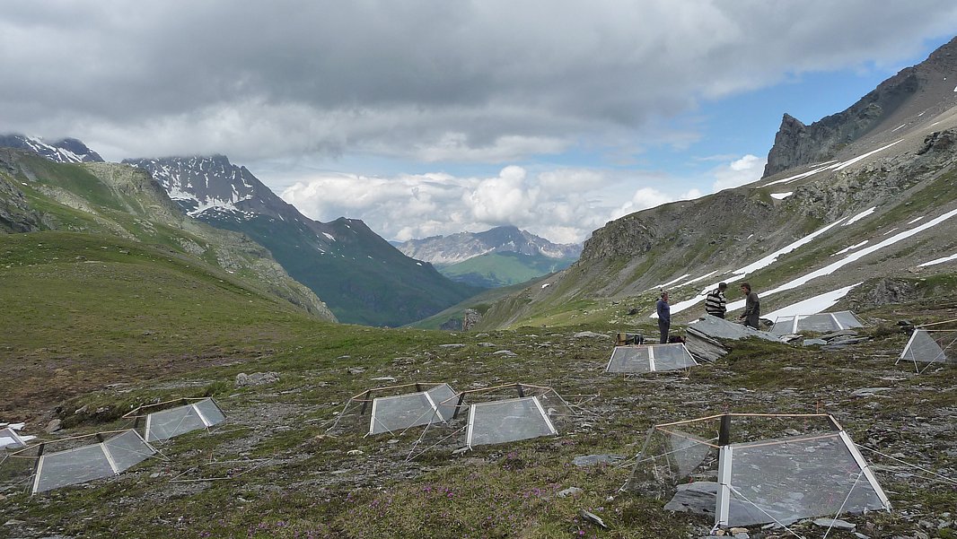 Berglandschaft mit mehreren transparenten Kunststoffkonstruktionen auf dem Boden. Drei Personen stehen in der Mitte der rechten Bildhälfte, umgeben von Bergen und Wolken.