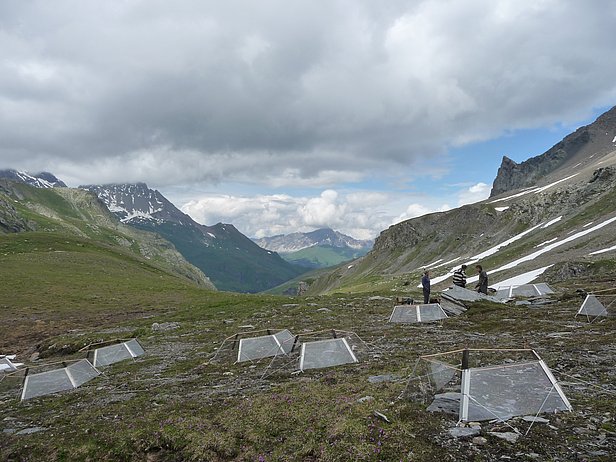 Paysage de montagne avec, sur le sol, plusieurs constructions en plastique transparent. Trois personnes se tiennent au milieu de la partie droite de l’image, entourées de montagnes et de nuages.