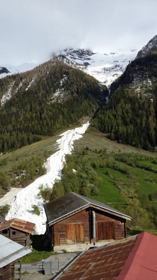 Photo 31: Avalanche spontanée de neige mouillée survenue le 24 mai au Wilerhorn (3307 m, Niedergesteln, VS) qui s’est décrochée sur une pente exposée au nord-ouest 2620 m et est descendue jusqu’à 1400 m (photo: B. Rieder, 25.05.2016).