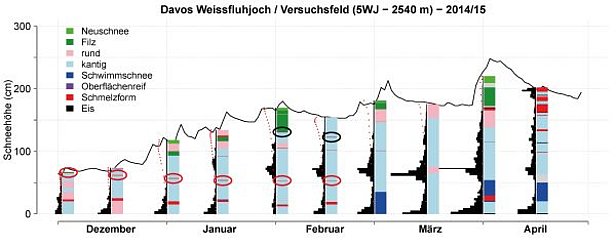 Abb. 19: Schneedeckenentwicklung im Winter 2014/15 an der Station 5WJ, Weissfluhjoch, GR, 2540 m. Dargestellt sind die Schneehöhe (schwarze Kurve, eine Messung pro Tag), der Rammwiderstand (schwarze Balken), die Kornformen (vgl. Legende in der Abbildung) und die Schneetemperaturen (rote Punkte). Rammwiderstand, Kornformen und Schneetemperaturen stammen von Schneeprofilaufnahmen (zwei Mal pro Monat). Der eingeschneite Oberflächenreif im Februar ist schwarz eingekreist. Die Regenkruste ist rot eingekreist. Gut zu sehen ist auch, dass die Basis der Schneedecke hart war, obwohl sie aus aufgebauten Kornformen bestand.