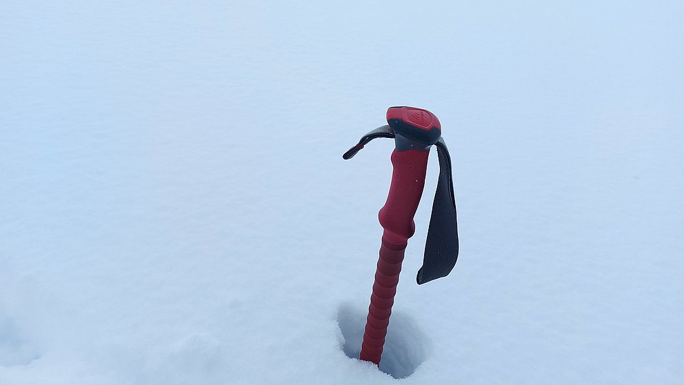 Beaucoup de neige fraîche jusqu'à basse altitude, mais peu d'avalanches