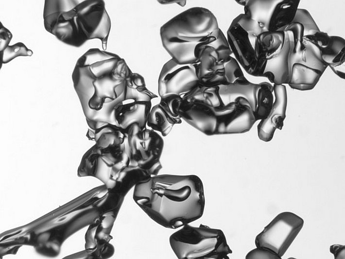 Grosse runde Formen (Grösse des Bildausschnitts: 4.3 x 3.2 mm)