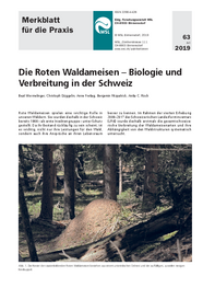 Die Roten Waldameisen