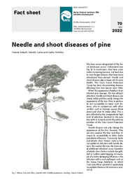 Needle and shoot diseases of pine