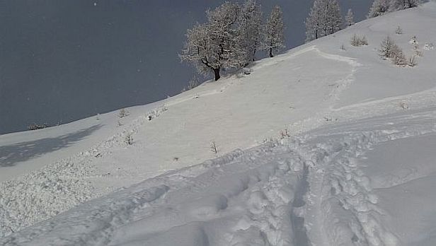 Abb. 10: Diese Lawine erfasste einen Skitourengeher und einen Hund. Südwesthang auf 2200 m, Oberwald, Goms (Foto: S. Hischier, 15.01.2017).