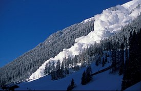 Avalanche de poudreuse. Image: Michael Bründl, SLF