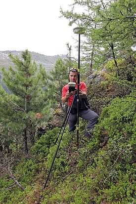 WSL-Mitarbeiter vermisst Bäume an der Waldgrenze. Er steht in einem steilen Hang, der Boden ist mit Alpenrosensträuchern bedeckt. Aussenrum ein lockerer Bewuchs von Föhren und Lärchen.