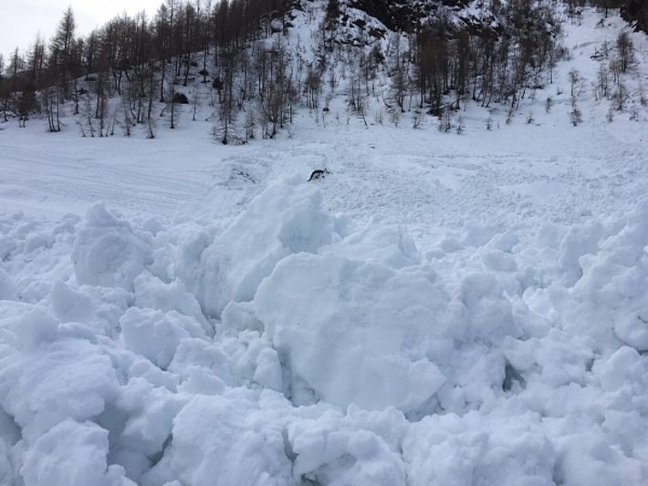 Ablagerung einer Nassschneelawine im Bereich der Alpe di Cristallina (1800 m, Bedretto, TI), welche aus den steilen Nordost exponierten Rinnen des Pian Milan abging (Foto: N. Ulmann, 19.03.2017).