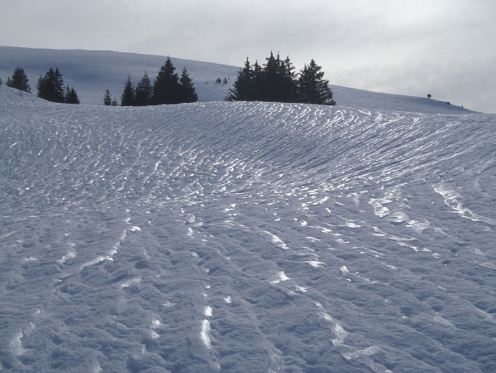 Durch die starke Sonneinstrahlung wandelte sich die vom Regen geprägte Schneeoberfläche immer mehr in eine stark zerklüftete um. Es bildete sich sogenannter "Büsserschnee" (ca. 1900 m, Trüttlisberg, Lauenen, BE; Foto: U. Grundisch, 15.03.2017).