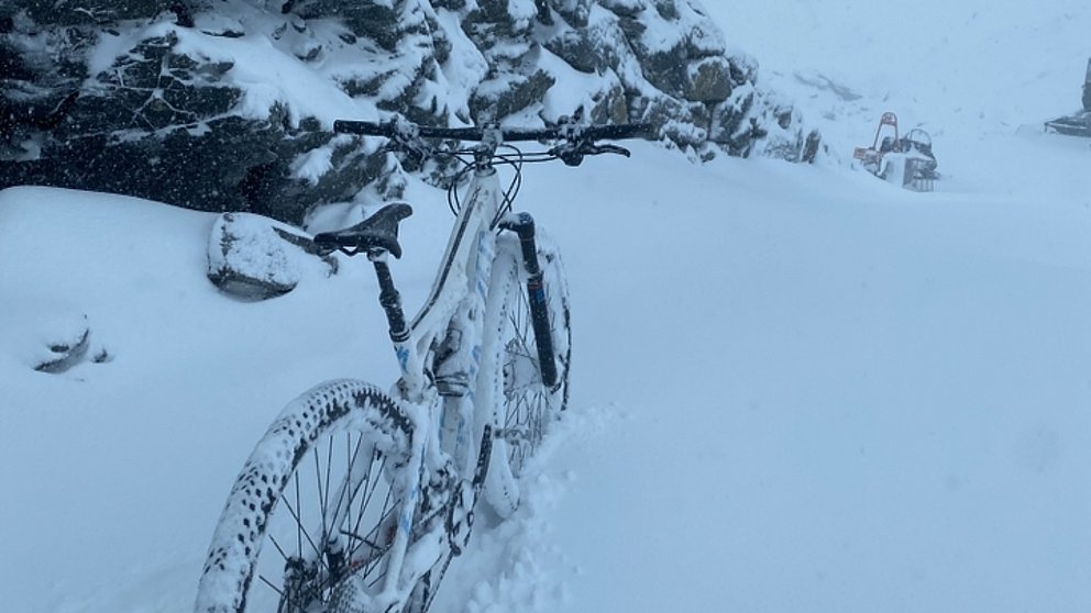 Blog de l’été 2021