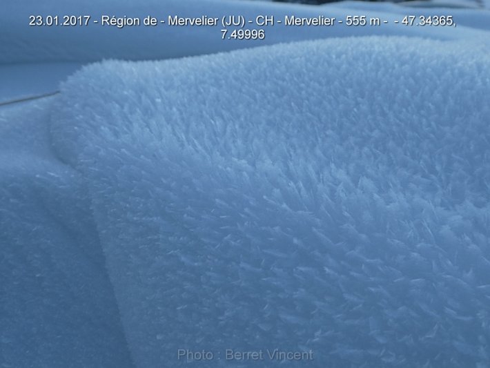 Un givre de surface, taille exceptionnel de 3-10 cm, s'est constitué dans la chaine Principale du Jura à 600 m (Photo: V. Berret, 23.01.2017).
