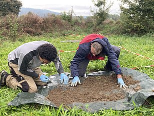 Sampling of grassland in Otelfingen, ZH. Here the soil is searched for earthworms. Picture: Beat Frey (WSL)