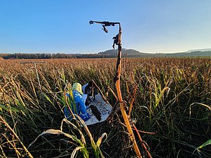 Sampling outside of Wil, SG. Photo: Verena Koppe (WSL)