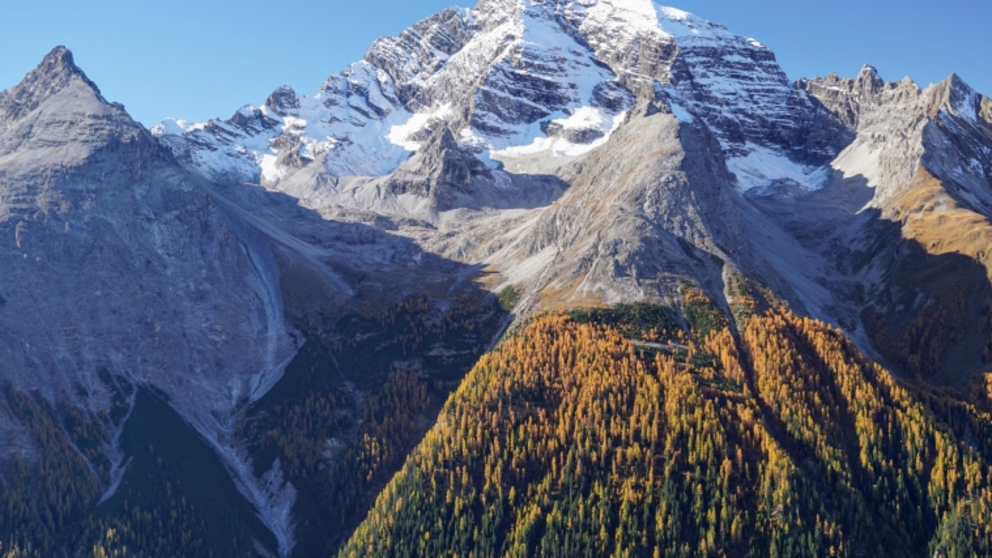 Neues Format: Der AvaBlog