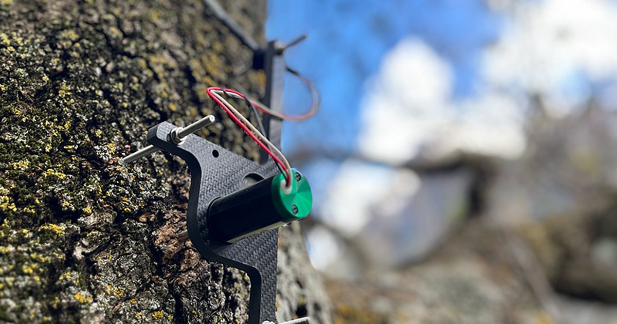 Fore[st]cast - Nowcast and predict forest condition