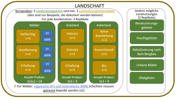 Graphische Darstellung der Probenentnahme.