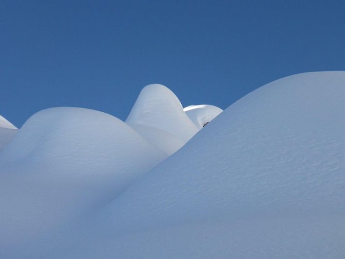 Winterlandschaft. Der Schneefall vom Freitag, 17.02. brachte gute Tourenbedingungen im Gebiet um den Chäserrugg (2260 m, Wildhaus-Alt St. Johann, SG; Foto: P. Diener, 19.02.2017).