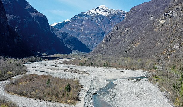 Flussauen bei Someo im Frühling