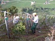 Stillberg bei Davos: Installation von Messgeräten für die CO2+ Bodenerwärmung