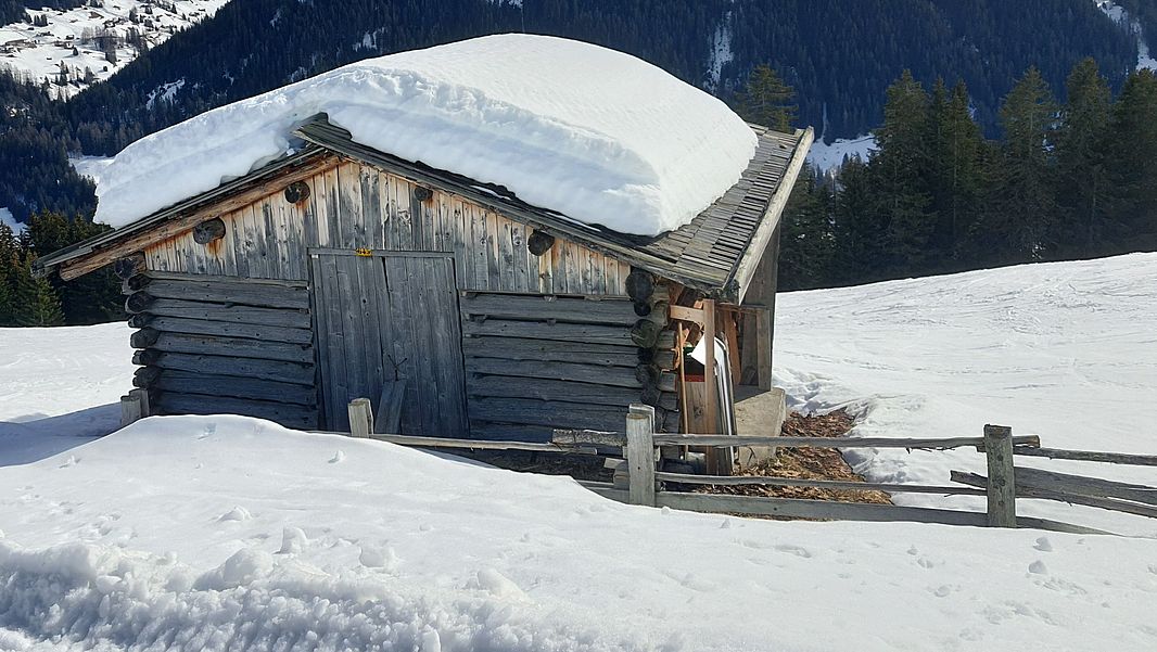 Oberhalb von Davos in der Näher der Stafelalp Mitte Februar: Die Schneemassen vom Anfang der Saision schmelzen im warmen Sonnenlicht zusehends. (Foto: Jochen Bettzieche / SLF)