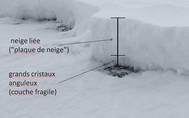 Photo 8c: Ce n’est qu’a posteriori que l’on peut voir à la zone de rupture que la constitution de la couche de neige était „parfaite“ pour une avalanche de plaque de neige: en bas, une mince couche composée de grands cristaux anguleux ayant subi une forte métamorphose et formant une couche fragile. Au-dessus de celle-ci, il y a peut-être 40 cm de neige liée plus récente constituant la „plaque de neige“ (toutes les photos: 08.02.2017). 