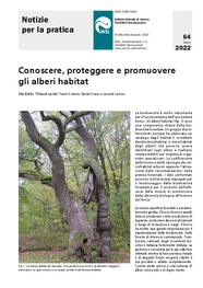 Conoscere, proteggere e promuovere gli alberi habitat