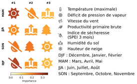Quatre rangées avec chacune trois symboles colorés : soleil, goutte barrée d’une ligne, eau avec flèche vers le haut, arbre. À gauche, abréviations des saisons : DJF, MAM, JJA, SON. En bas, l’échelle de couleurs allant du jaune clair au brun foncé avec l’inscription « Variable Importance ».